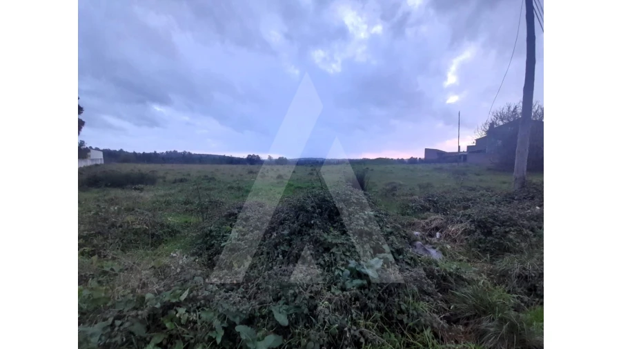Terreno para Venda em Mealhada, Ventosa do Bairro e Antes Foto 6