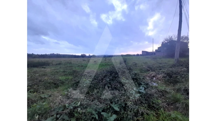 Terreno para Venda em Mealhada, Ventosa do Bairro e Antes Foto 7