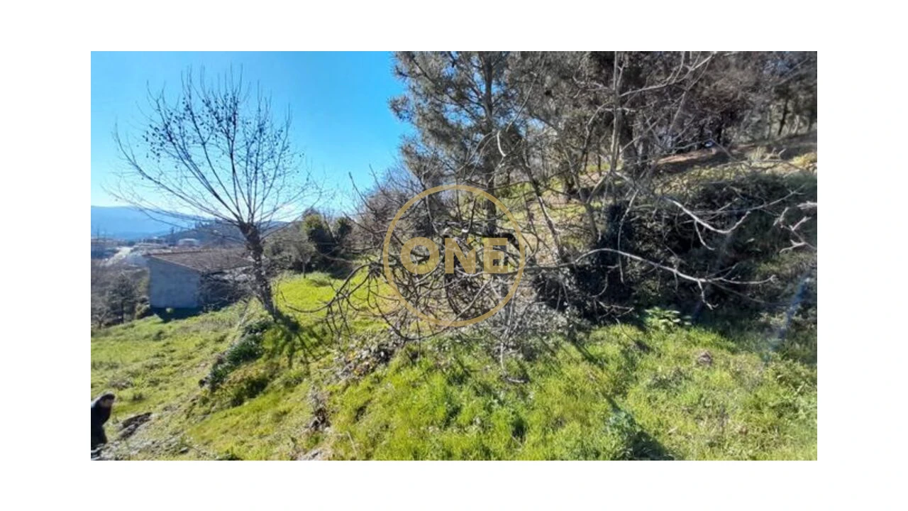 Terreno para Venda em Basto (São Clemente) Foto 1