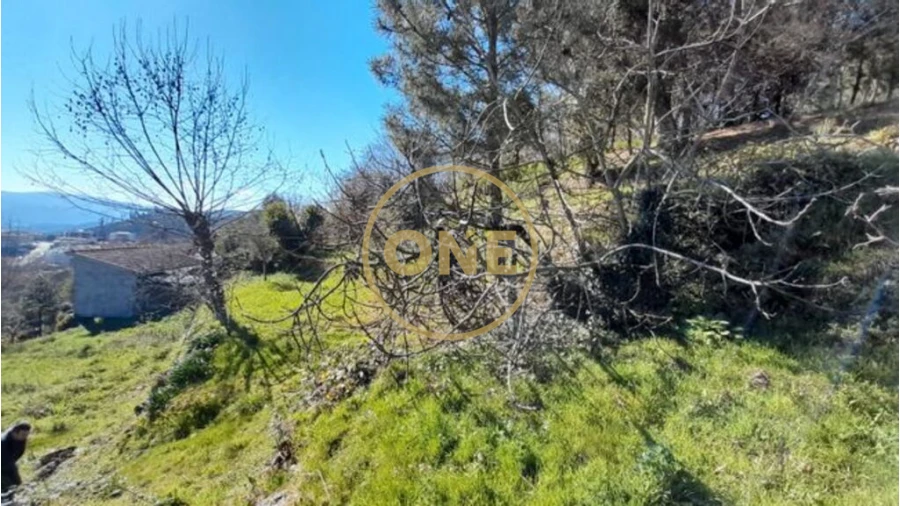 Terreno para Venda em Basto (São Clemente) Foto 1