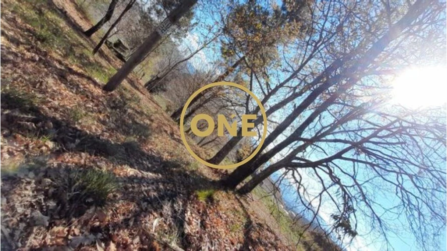 Terreno para Venda em Basto (São Clemente) Foto 5