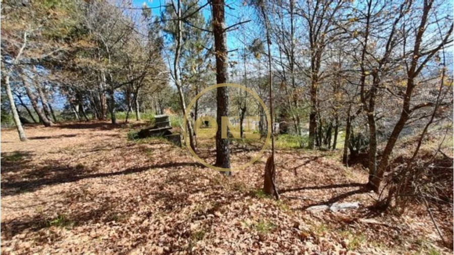 Terreno para Venda em Basto (São Clemente) Foto 2