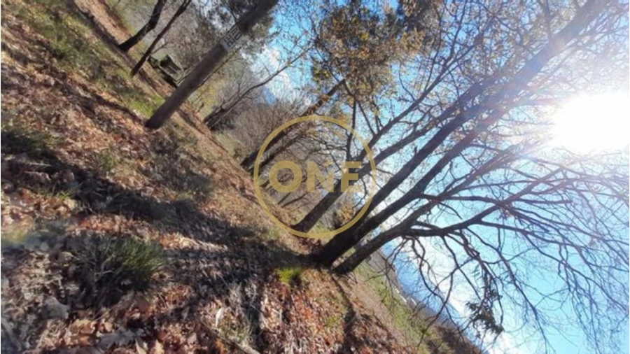 Terreno para Venda em Basto (São Clemente) Foto 3
