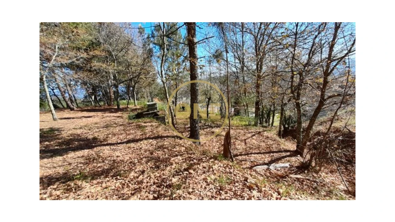 Terreno para Venda em Basto (São Clemente) Foto 2
