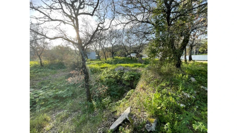 Terreno para Venda em Nossa Senhora do Pranto Foto 5