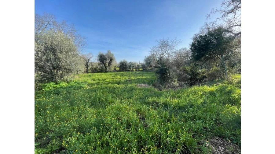Terreno para Venda em Nossa Senhora do Pranto Foto 1