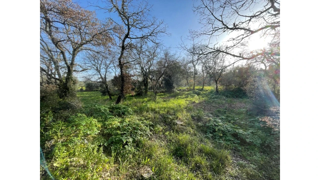 Terreno para Venda em Nossa Senhora do Pranto Foto 3