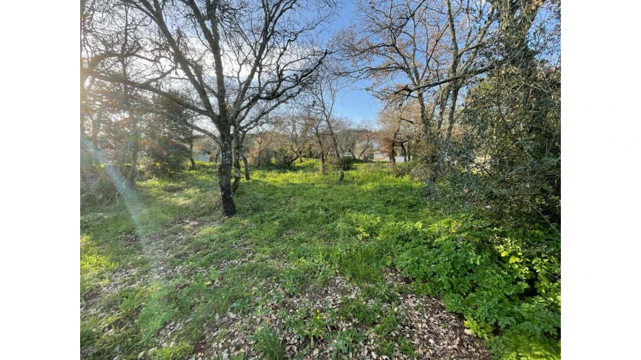 Terreno para Venda em Nossa Senhora do Pranto Foto 4