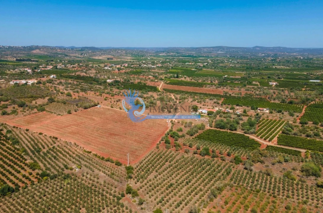 Terreno para Venda em São Bartolomeu de Messines Foto 10
