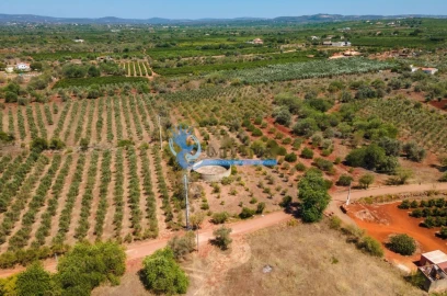 Terreno para Venda em São Bartolomeu de Messines