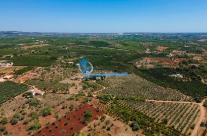 Terreno para Venda em São Bartolomeu de Messines