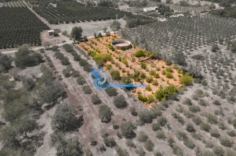 Terreno para Venda em São Bartolomeu de Messines