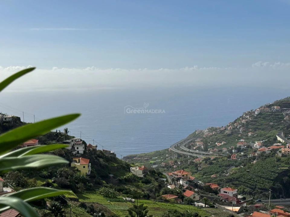 Armazém para Arrendamento em Campanario Foto 10