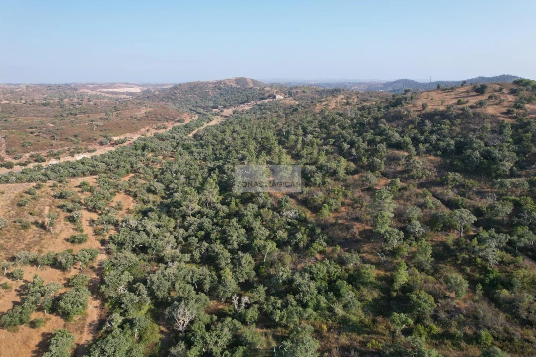 Terreno para Venda em Lagos (São Sebastião e Santa Maria) Foto 21