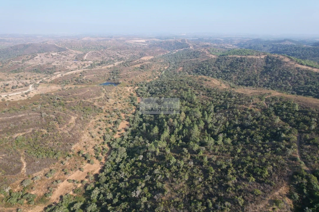 Terreno para Venda em Lagos (São Sebastião e Santa Maria) Foto 17