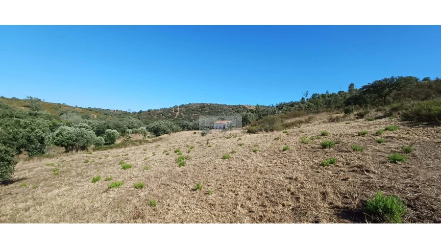 Terreno para Venda em Lagos (São Sebastião e Santa Maria) Foto 16