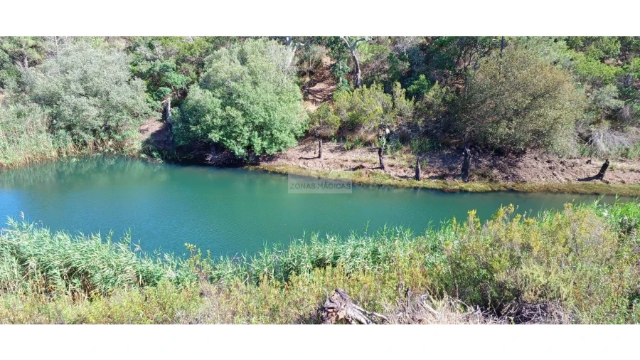 Terreno para Venda em Lagos (São Sebastião e Santa Maria) Foto 9