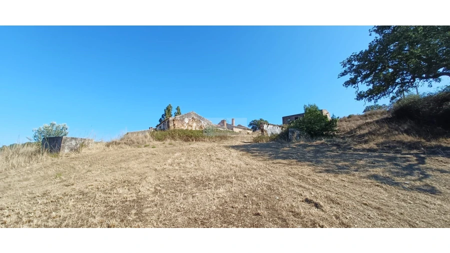 Terreno para Venda em Lagos (São Sebastião e Santa Maria) Foto 5