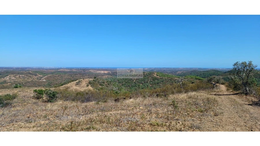 Terreno para Venda em Lagos (São Sebastião e Santa Maria) Foto 13
