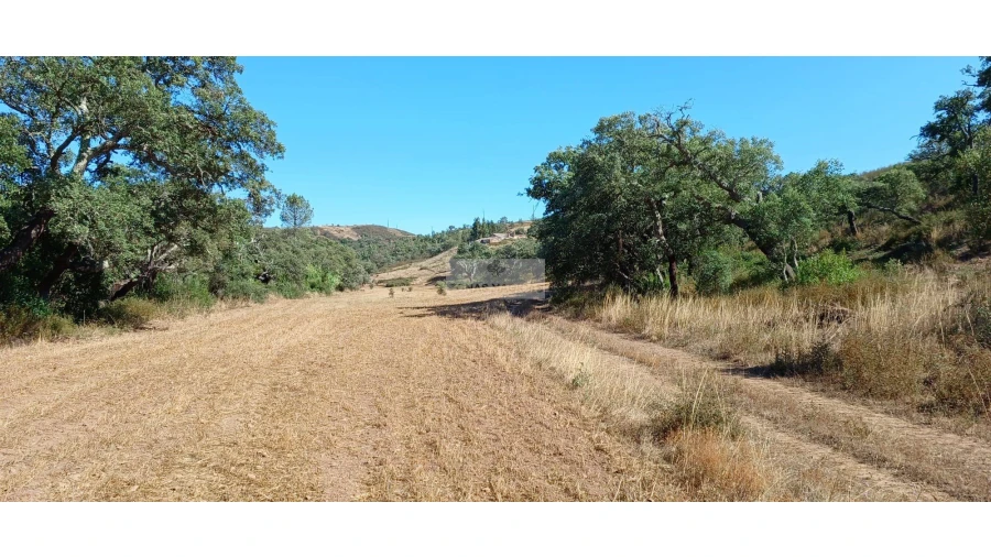 Terreno para Venda em Lagos (São Sebastião e Santa Maria) Foto 15