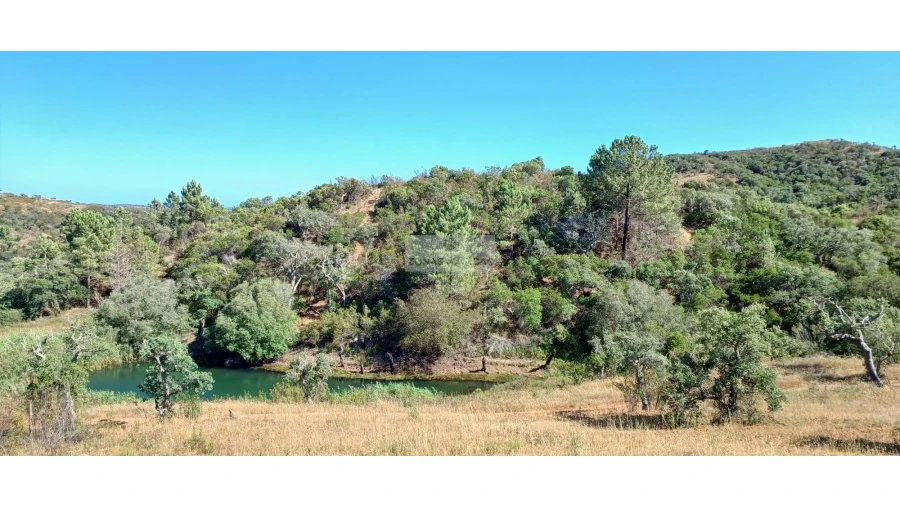 Terreno para Venda em Lagos (São Sebastião e Santa Maria) Foto 11