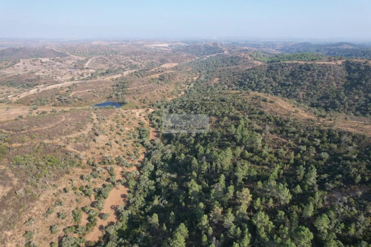 Terreno para Venda em Lagos (São Sebastião e Santa Maria) Foto 22