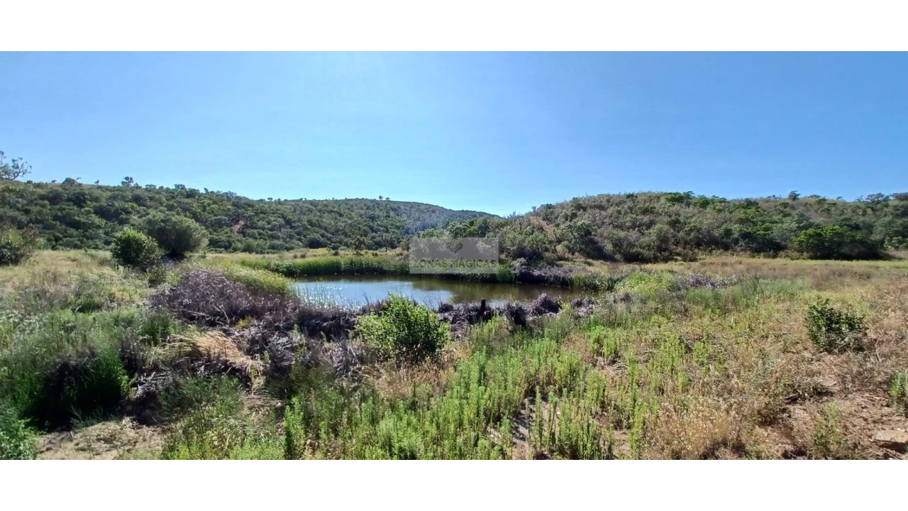 Terreno para Venda em Lagos (São Sebastião e Santa Maria) Foto 10