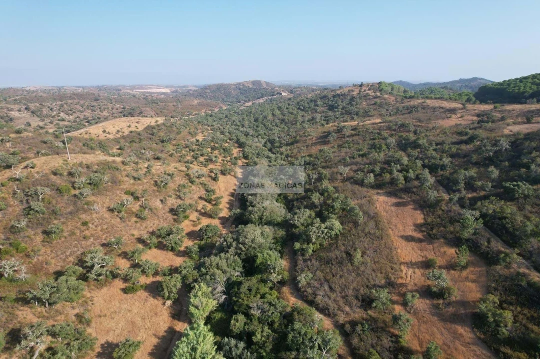 Terreno para Venda em Lagos (São Sebastião e Santa Maria) Foto 23