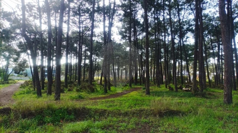 Terreno para Venda em Charneca de Caparica e Sobreda