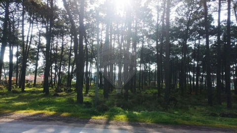 Terreno para Venda em Charneca de Caparica e Sobreda