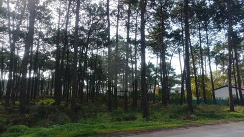 Terreno para Venda em Charneca de Caparica e Sobreda
