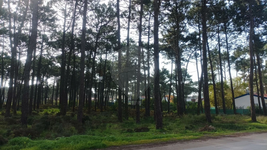 Terreno para Venda em Charneca de Caparica e Sobreda Foto 2
