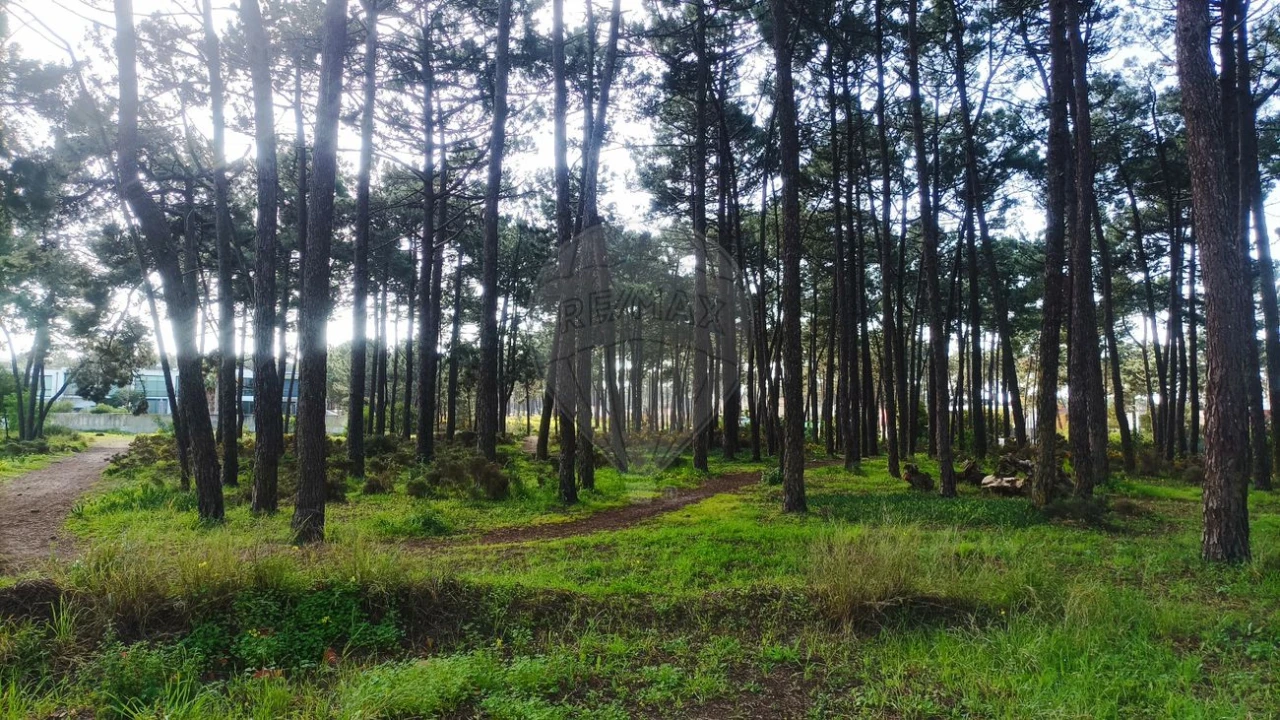 Terreno para Venda em Charneca de Caparica e Sobreda Foto 3