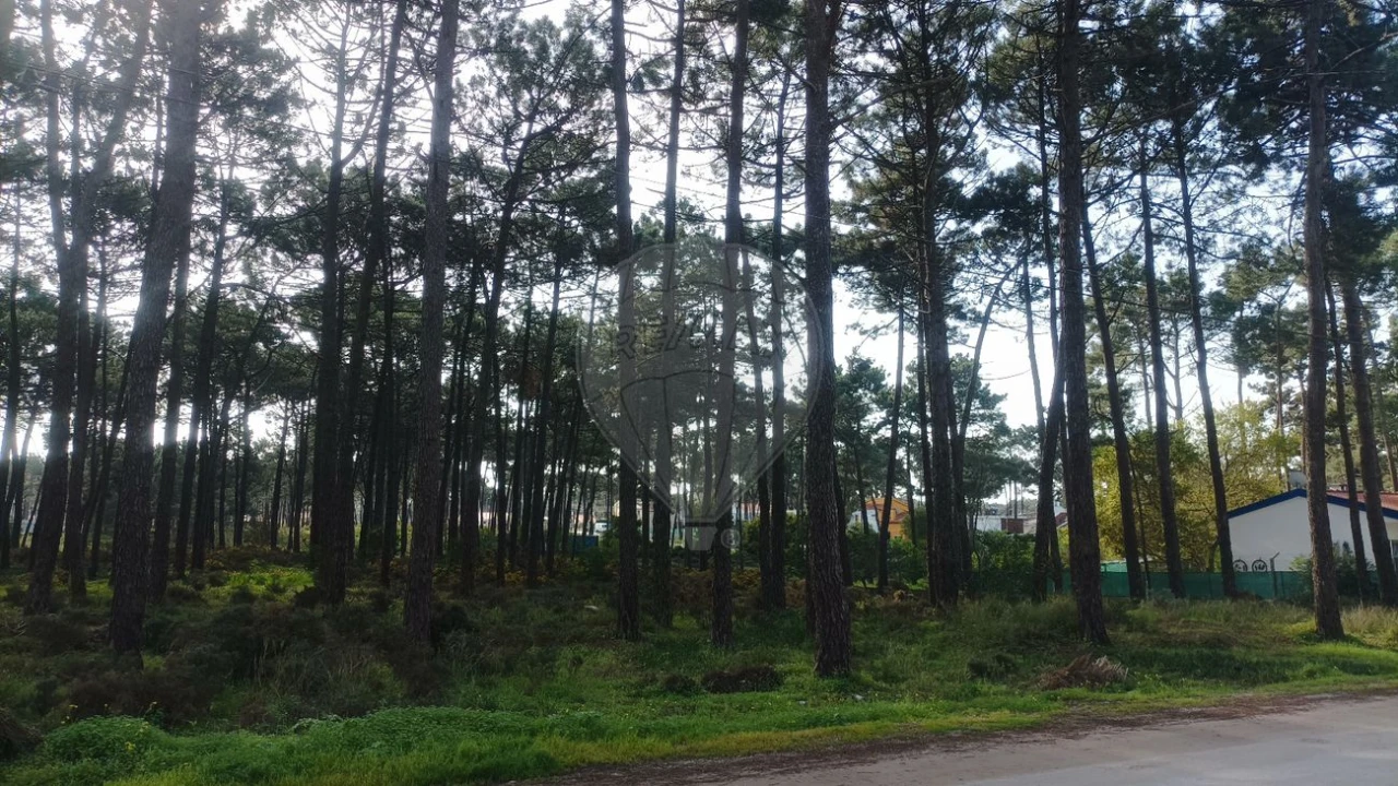 Terreno para Venda em Charneca de Caparica e Sobreda Foto 2