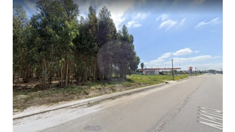 Terreno para Venda em Cacia