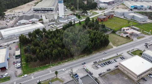 Terreno para Venda em Cacia