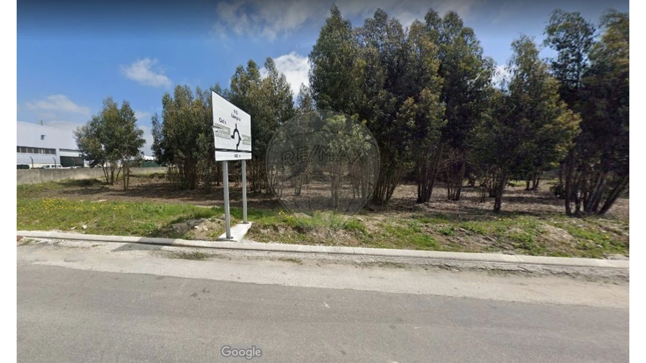 Terreno para Venda em Cacia Foto 4
