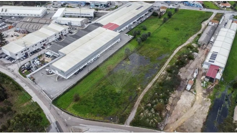 Terreno para Venda em Cacia
