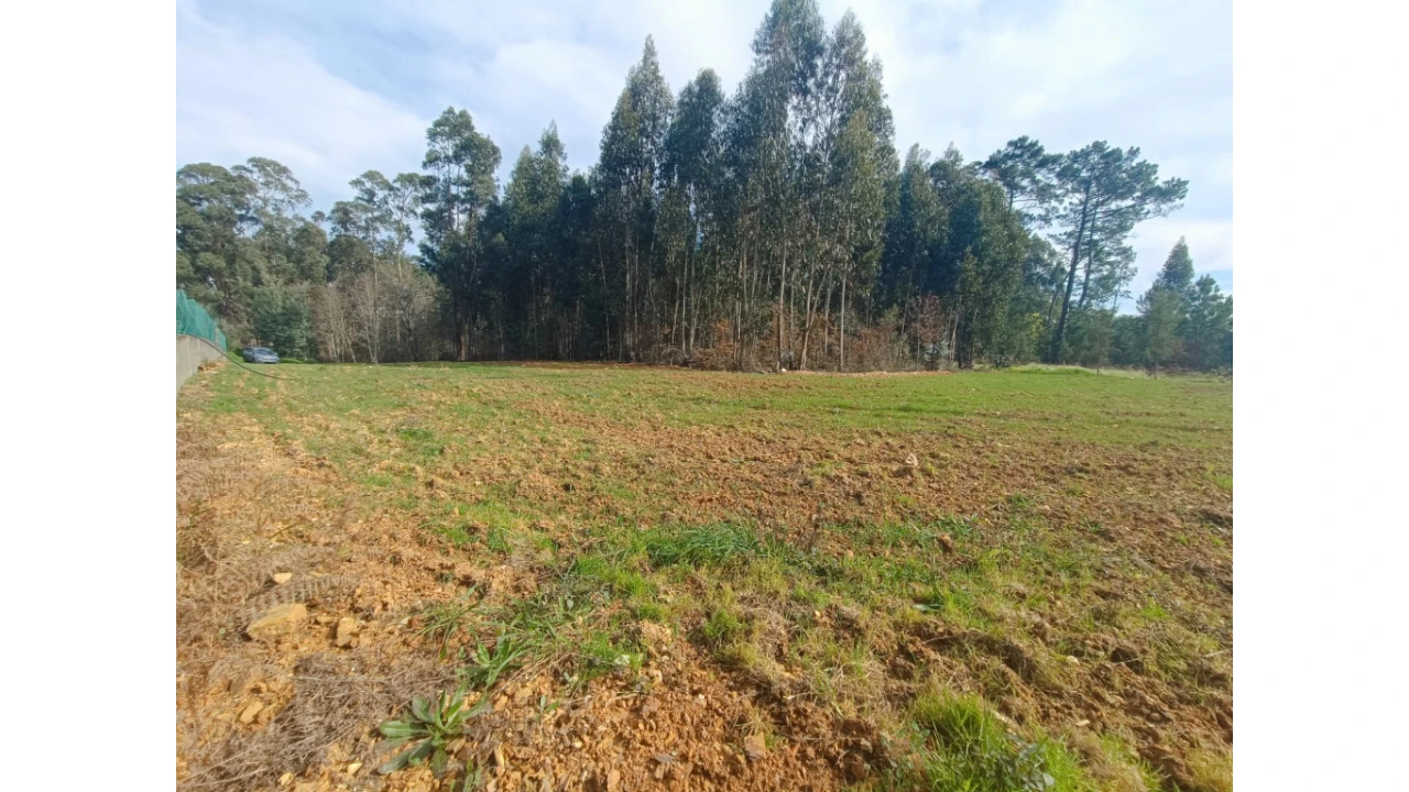 Terreno para Venda em Arrifana Foto 2
