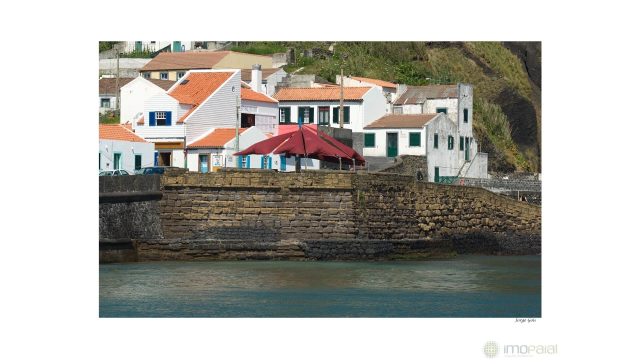 Negócio para Venda em Horta (Angustias) Foto 17