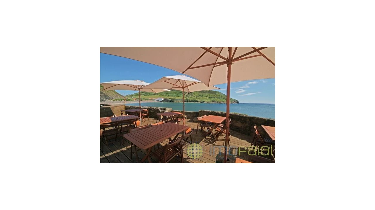 Negócio para Venda em Horta (Angustias) Foto 15