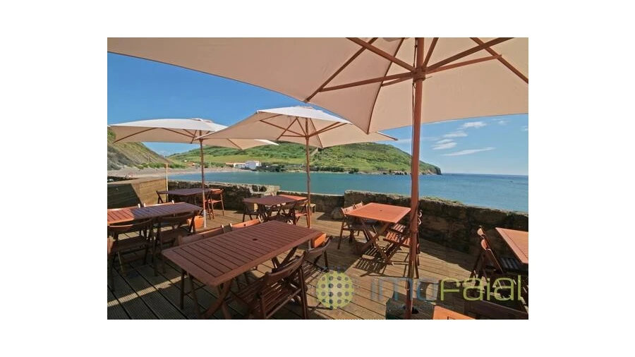 Negócio para Venda em Horta (Angustias) Foto 15