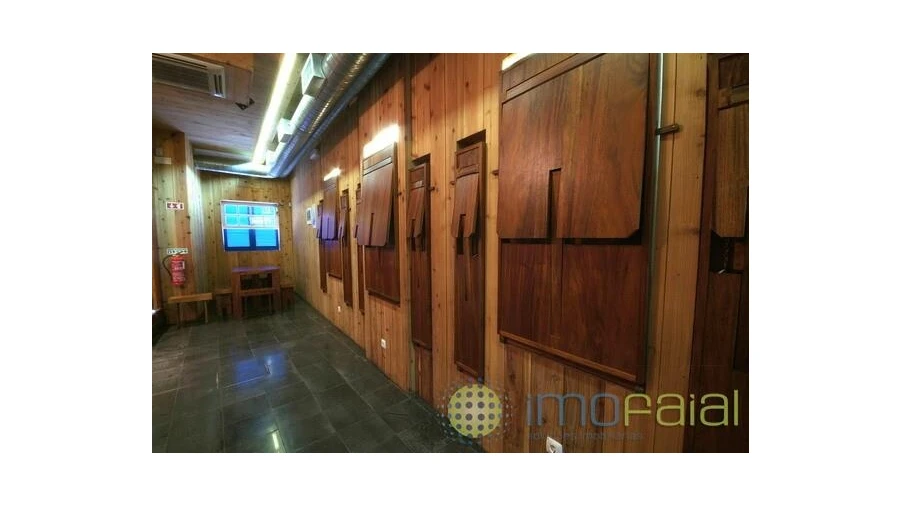 Negócio para Venda em Horta (Angustias) Foto 6