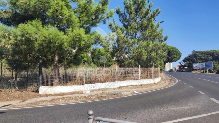 Terreno para Venda em Amora