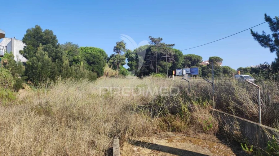 Terreno para Venda em Amora Foto 3