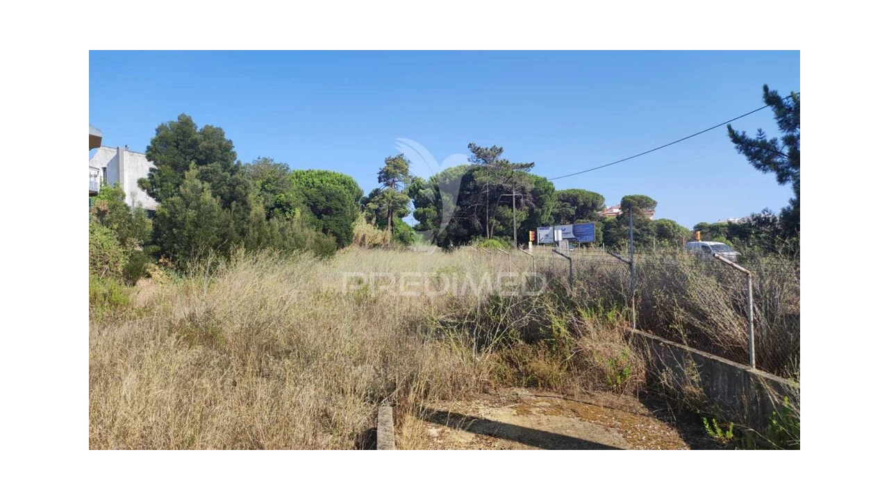 Terreno para Venda em Amora Foto 3