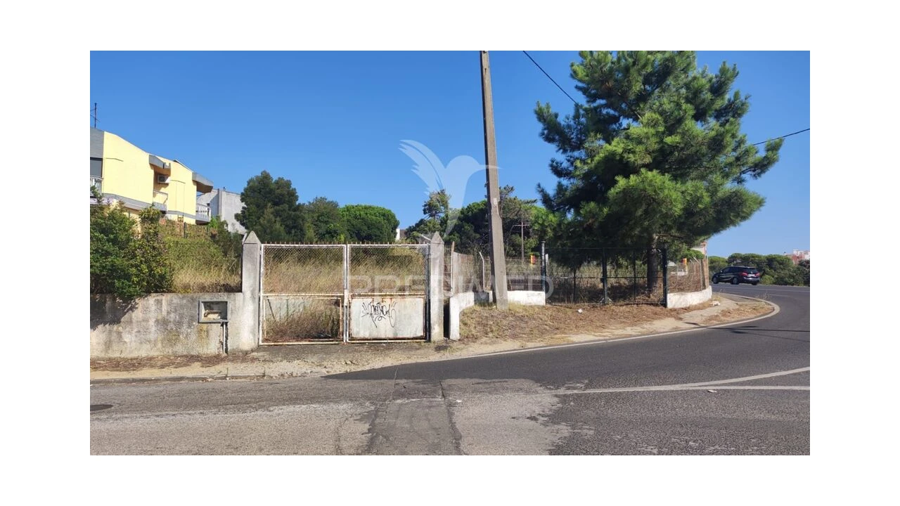 Terreno para Venda em Amora Foto 2