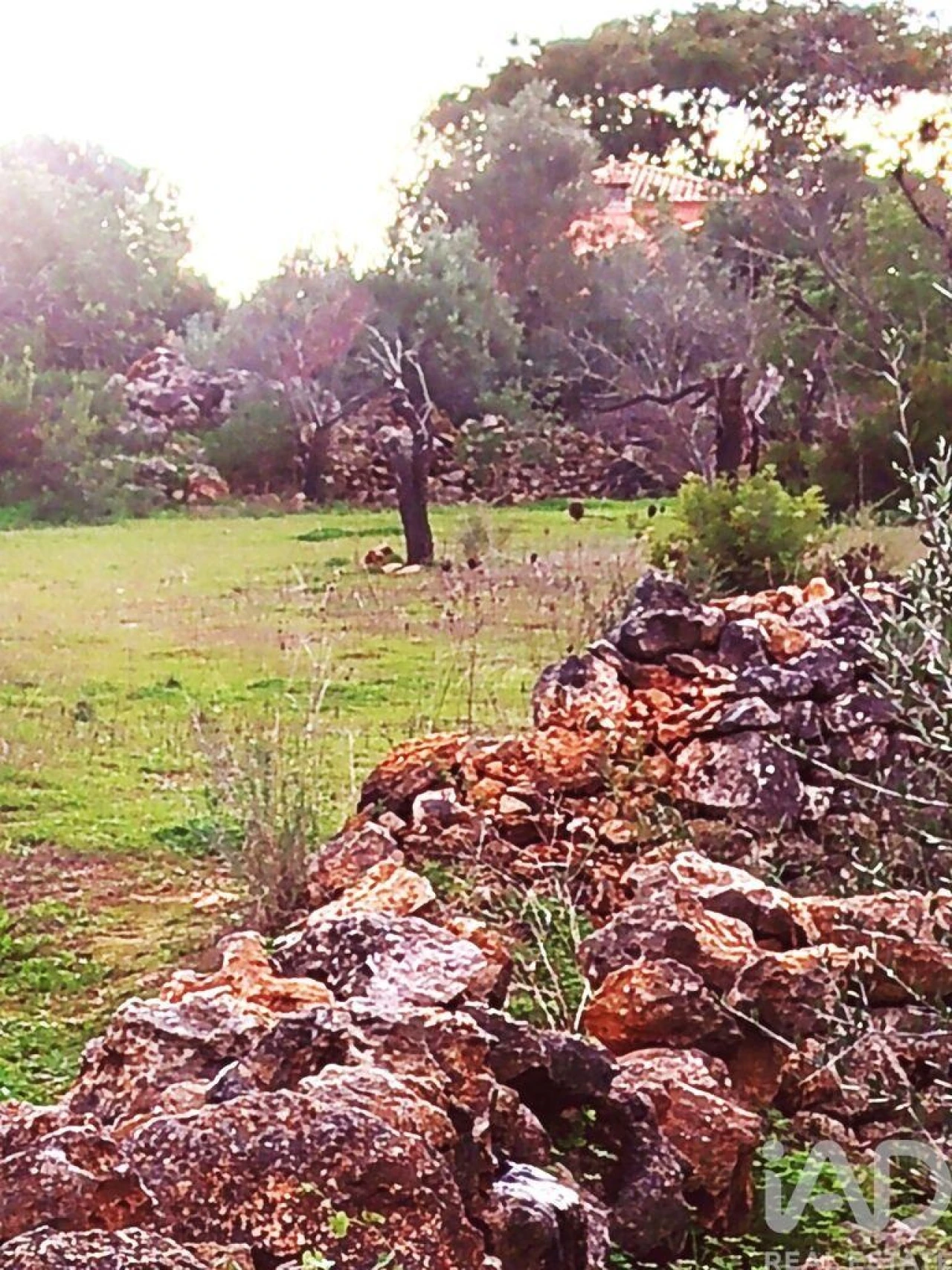 Terreno para Venda em Moncarapacho e Fuseta Foto 8