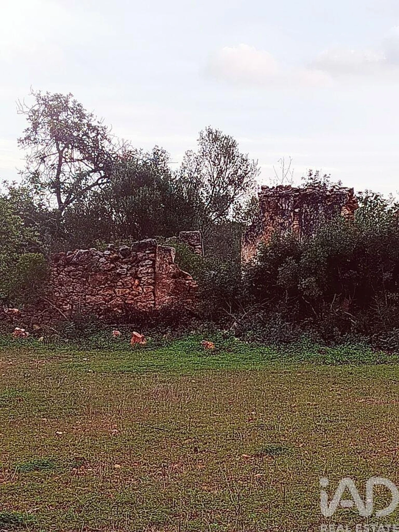 Terreno para Venda em Moncarapacho e Fuseta Foto 5
