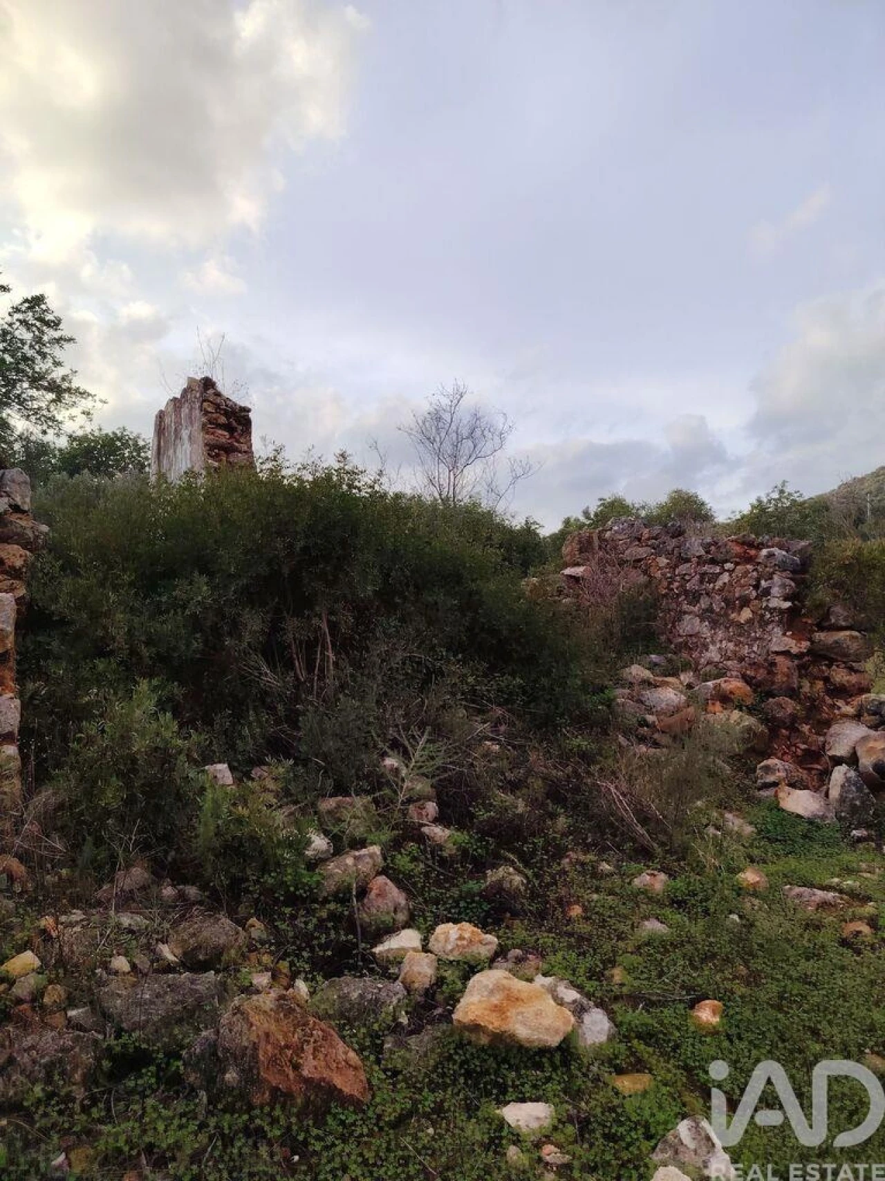 Terreno para Venda em Moncarapacho e Fuseta Foto 4